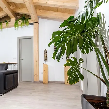 Turisticos 3 Lienzos * 페냐피엘